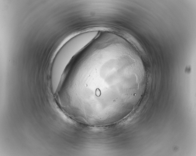 X0000091500852200709061921