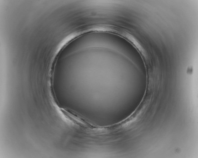 X0000091500853200709061921