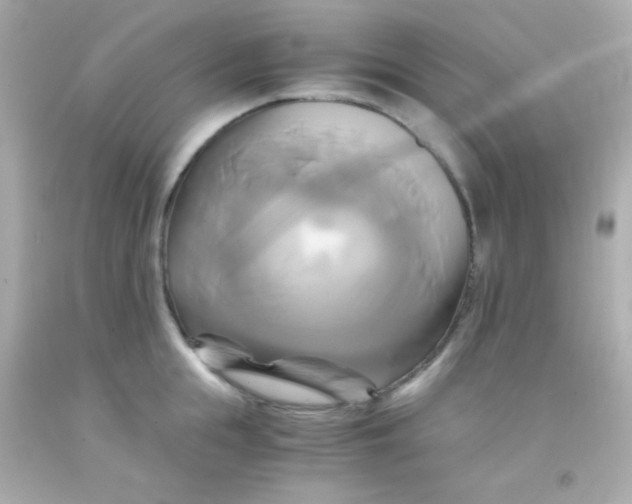 X0000091500855200709061921