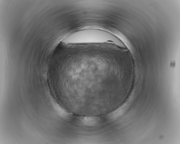 X0000091500857200709061921