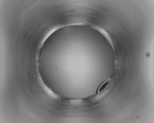 X0000091500859200709061921