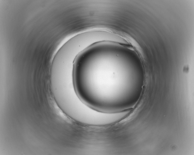 X0000091500860200709061921