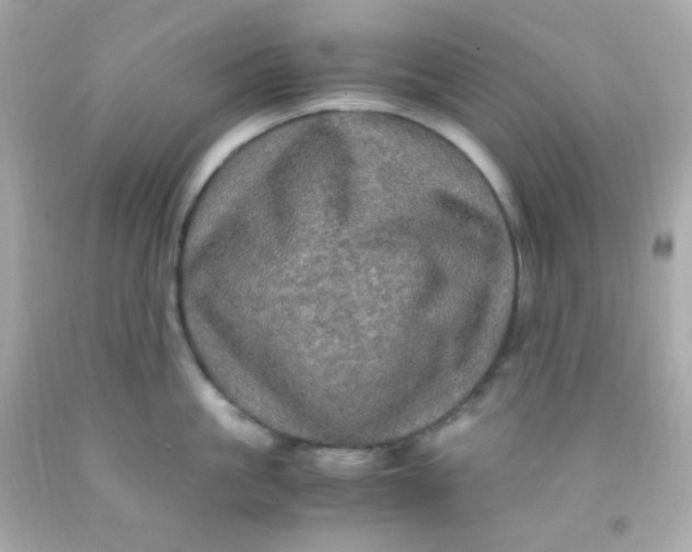 X0000091500861200709061921