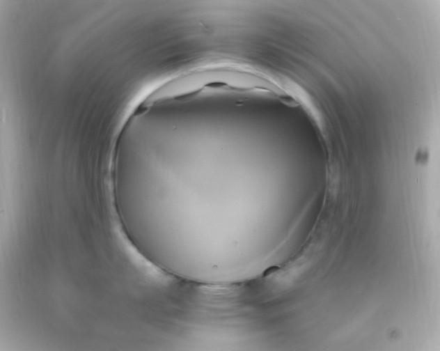 X0000091500863200709061921