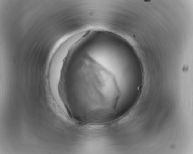 X0000091500864200709061921