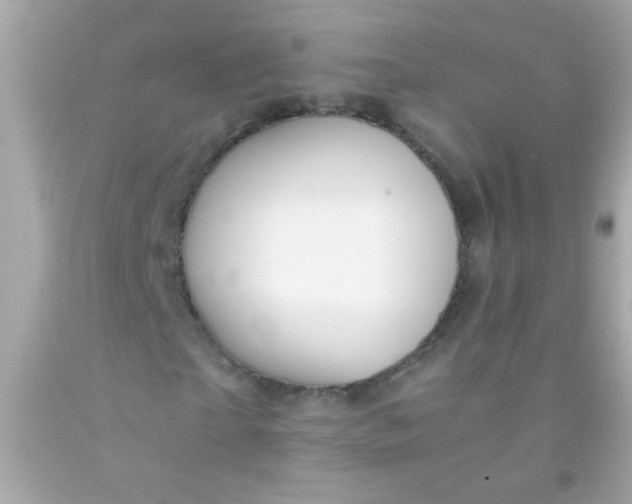 X0000091500865200709061920