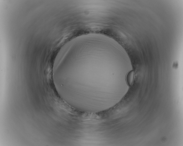 X0000091500866200709061920