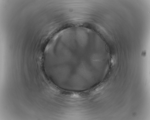 X0000091500867200709061920