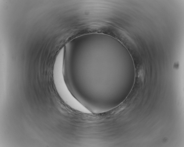 X0000091500868200709061920