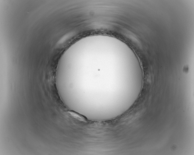 X0000091500869200709061920