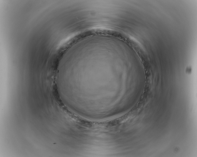 X0000091500870200709061920