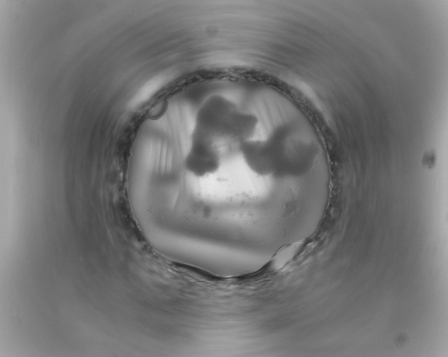 X0000091500871200709061920