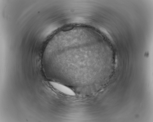 X0000091500872200709061920