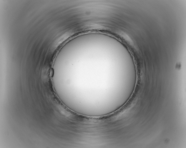 X0000091500873200709061920