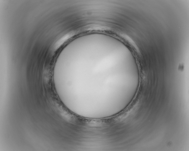 X0000091500874200709061920