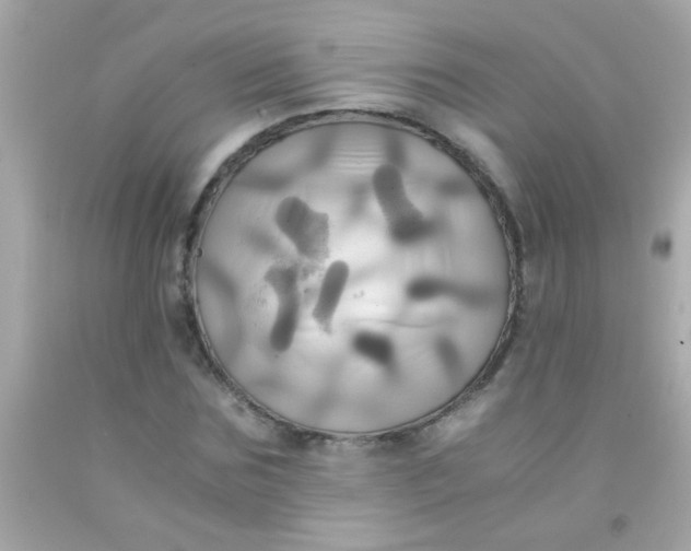 X0000091500875200709061920