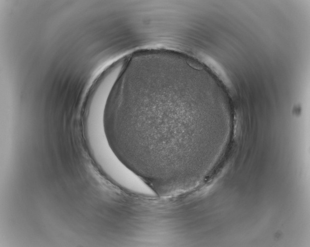 X0000091500876200709061920