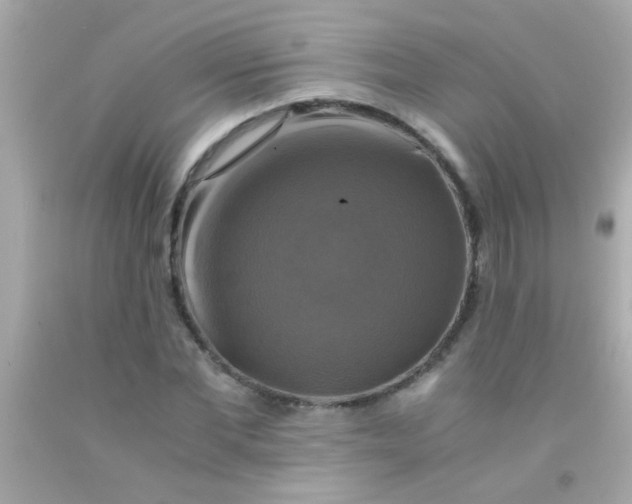 X0000091500877200709061920