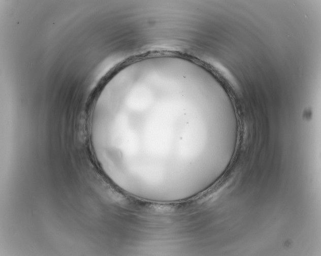 X0000091500878200709061920