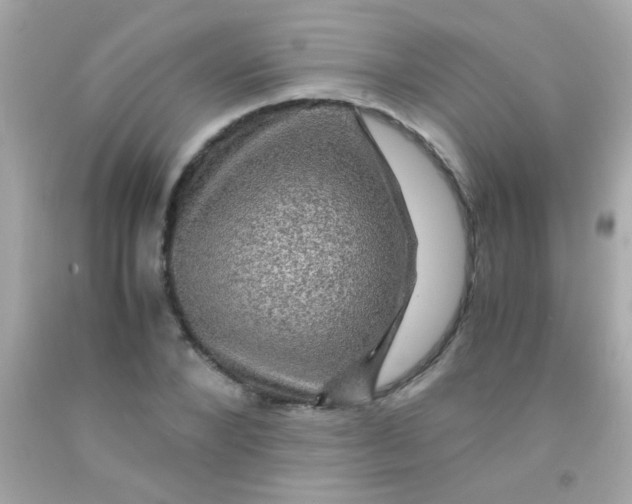 X0000091500880200709061920