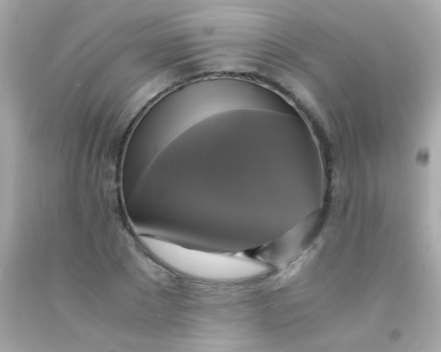 X0000091500881200709061920