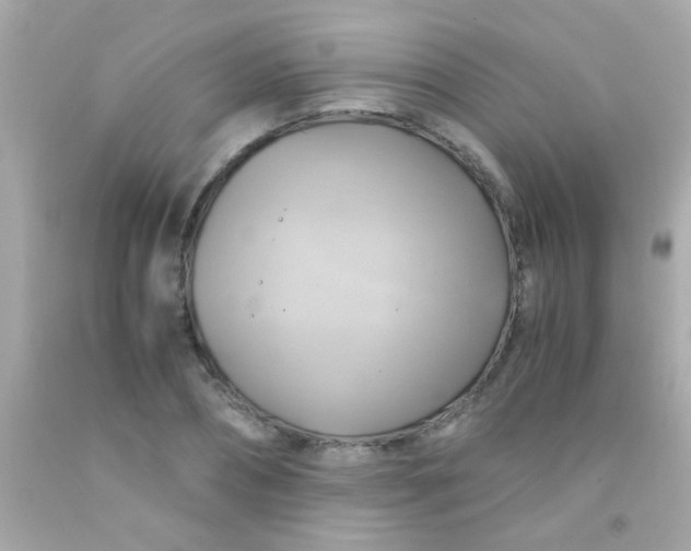 X0000091500882200709061920