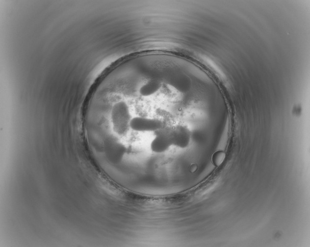 X0000091500883200709061920