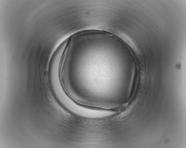 X0000091500884200709061920