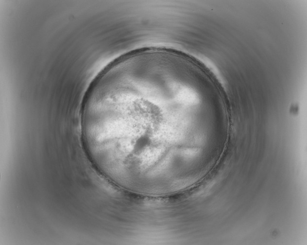 X0000091500887200709061920