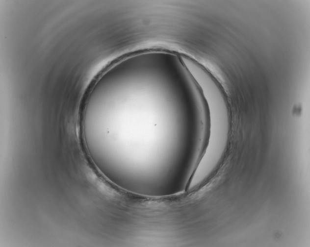 X0000091500888200709061920