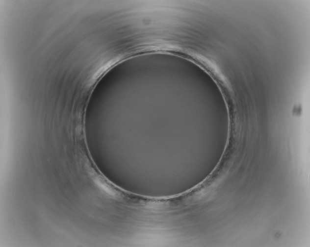 X0000091500889200709061920