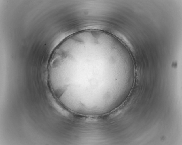 X0000091500890200709061920