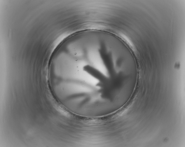 X0000091500891200709061920