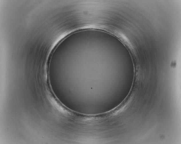 X0000091500892200709061920