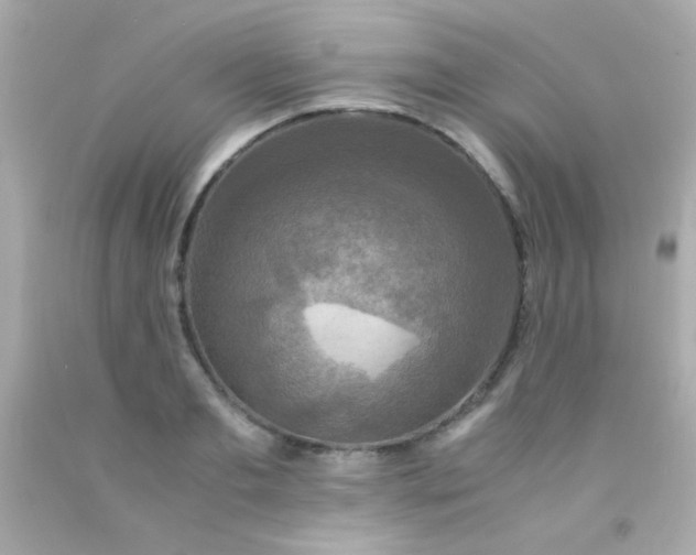 X0000091500893200709061920