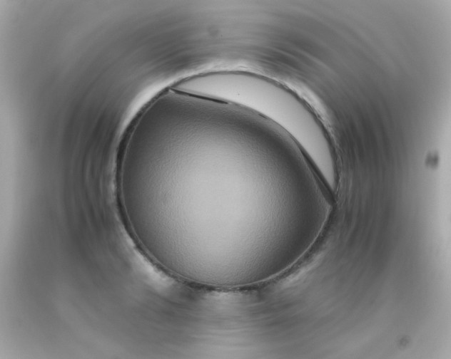 X0000091500894200709061920