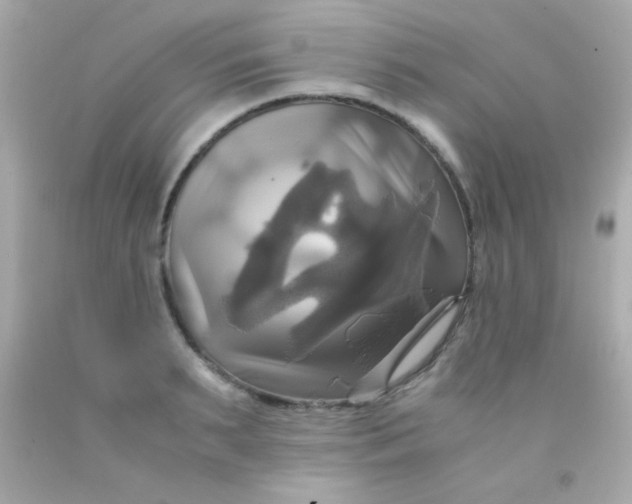 X0000091500895200709061920