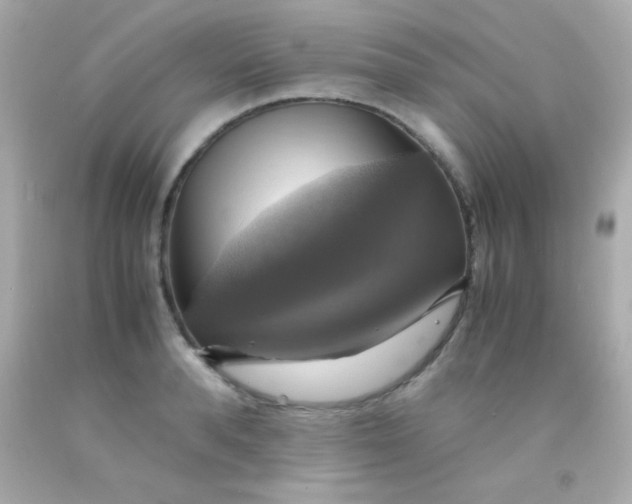 X0000091500896200709061920