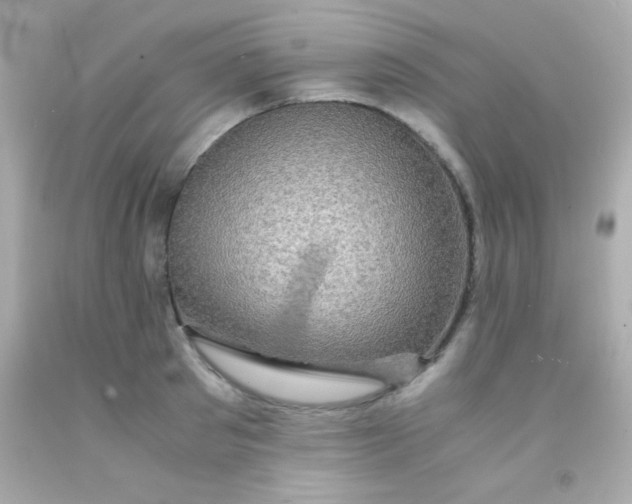 X0000091500897200709061920