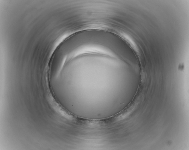 X0000091500899200709061920