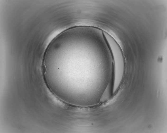 X0000091500901200709061920