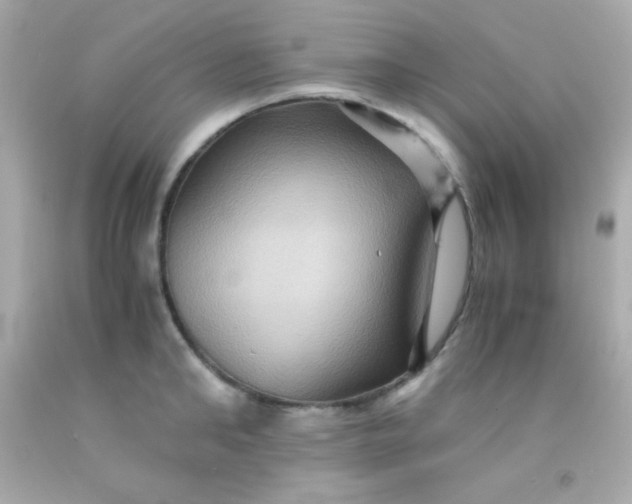 X0000091500902200709061920