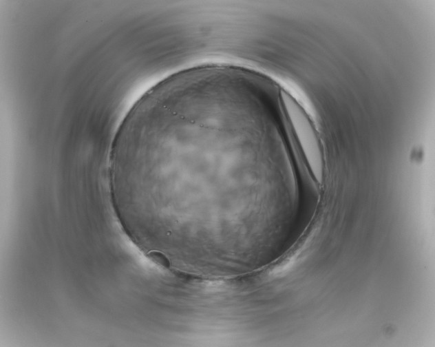 X0000091500903200709061920