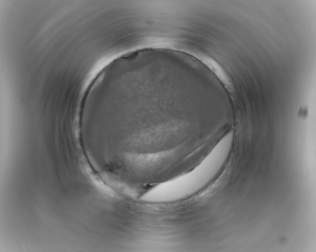 X0000091500904200709061920