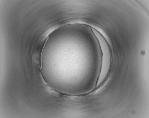 X0000091500905200709061920