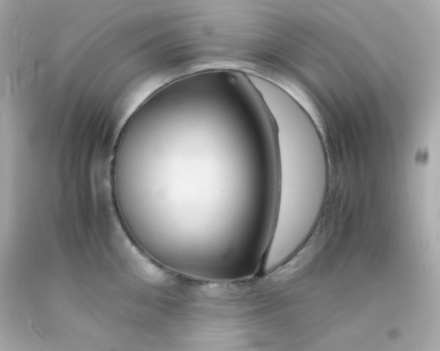 X0000091500906200709061920