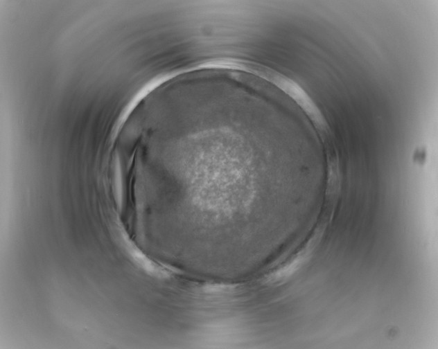 X0000091500908200709061920