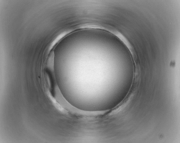 X0000091500909200709061920