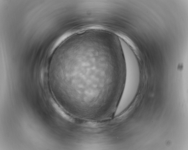 X0000091500910200709061920