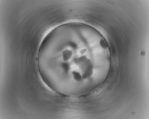 X0000091500911200709061920